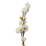 Clayre & Eef | Decoratie tak met bloemen Wit 10x8x92 cm | 5PL0093 Clayre & Eef | Decoratie tak met bloemen Wit 10x8x92 cm | 5PL0093