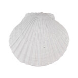 Clayre & Eef | Deurknop Wit 6x4x6 cm / S3 cm | 65734