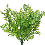 Clayre & Eef | Decoratie tak Perzische varen Groen 14x6x56 cm | 6PL0298 Clayre & Eef | Decoratie tak Perzische varen Groen 14x6x56 cm | 6PL0298
