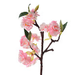 Clayre & Eef | Decoratie tak met bloemen Roze Wit 16x8x38 cm | 6PL0316 Clayre & Eef | Decoratie tak met bloemen Roze Wit 16x8x38 cm | 6PL0316