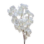 Clayre & Eef | Decoratie tak met bloemen Wit ø 8x95 cm | 5PL0108W Clayre & Eef | Decoratie tak met bloemen Wit ø 8x95 cm | 5PL0108W