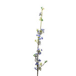 Clayre & Eef | Decoratie tak met bloemen Paars 5x5x100 cm | 5PL0111 Clayre & Eef | Decoratie tak met bloemen Paars 5x5x100 cm | 5PL0111