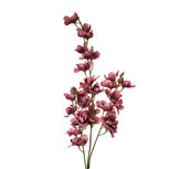 Clayre & Eef | Decoratie tak met bloemen Roze 10x10x110 cm | 5PL0114P Clayre & Eef | Decoratie tak met bloemen Roze 10x10x110 cm | 5PL0114P