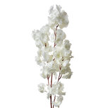 Clayre & Eef | Decoratie tak met bloemen Wit 24x8x100 cm | 5PL0118W Clayre & Eef | Decoratie tak met bloemen Wit 24x8x100 cm | 5PL0118W