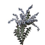 Clayre & Eef | Decoratie tak met bloemen Blauw Groen 20x20x103 cm | 6PL0329 Clayre & Eef | Decoratie tak met bloemen Blauw Groen 20x20x103 cm | 6PL0329