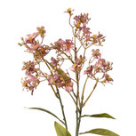 Clayre & Eef | Decoratie tak met bloemen Roze Groen 15x7x70 cm | 5PL0122P Clayre & Eef | Decoratie tak met bloemen Roze Groen 15x7x70 cm | 5PL0122P