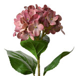 Clayre & Eef | Kunstbloem Roze Groen 16x15x68 cm | 5PL0137DP Clayre & Eef | Kunstbloem Roze Groen 16x15x68 cm | 5PL0137DP