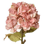 Clayre & Eef | Decoratie tak met bloemen Roze 10x10x55 cm | 6PL0333P Clayre & Eef | Decoratie tak met bloemen Roze 10x10x55 cm | 6PL0333P