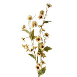 Clayre & Eef | Decoratie tak met bloemen Geel Groen 25x6x107 cm | 5PL0134LY Clayre & Eef | Decoratie tak met bloemen Geel Groen 25x6x107 cm | 5PL0134LY