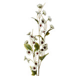 Clayre & Eef | Decoratie tak met bloemen Wit Groen 25x6x107 cm | 5PL0134W Clayre & Eef | Decoratie tak met bloemen Wit Groen 25x6x107 cm | 5PL0134W