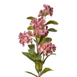 Clayre & Eef | Decoratie tak met bloemen Roze Groen 17x14x70 cm | 6PL0344P Clayre & Eef | Decoratie tak met bloemen Roze Groen 17x14x70 cm | 6PL0344P
