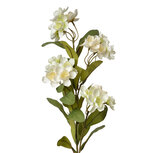 Clayre & Eef | Decoratie tak met bloemen Wit Groen 17x14x70 cm | 6PL0344W Clayre & Eef | Decoratie tak met bloemen Wit Groen 17x14x70 cm | 6PL0344W