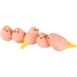 Dekoratief | Kwintet vogeltjes, roze/geel, resina, 22x8x5cm | A250065 Dekoratief | Kwintet vogeltjes, roze/geel, resina, 22x8x5cm | A250065