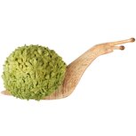 Dekoratief | Slak m/bloemenreli?f, naturel/groen, resina, 36x18x17cm | A250442 Dekoratief | Slak m/bloemenreli?f, naturel/groen, resina, 36x18x17cm | A250442