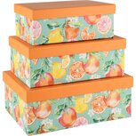Dekoratief | Set 3 dozen rechthoek 'Citrus Fruits', karton, 26x18x10cm | A250782 Dekoratief | Set 3 dozen rechthoek 'Citrus Fruits', karton, 26x18x10cm | A250782