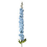 Clayre & Eef | Decoratie tak met bloemen Blauw Groen 6x6x120 cm | 5PL0155 Clayre & Eef | Decoratie tak met bloemen Blauw Groen 6x6x120 cm | 5PL0155