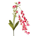Clayre & Eef | Decoratie tak met bloemen Roze Groen 15x6x80 cm | 5PL0161P Clayre & Eef | Decoratie tak met bloemen Roze Groen 15x6x80 cm | 5PL0161P