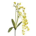 Clayre & Eef | Decoratie tak met bloemen Geel Groen 15x6x80 cm | 5PL0161Y Clayre & Eef | Decoratie tak met bloemen Geel Groen 15x6x80 cm | 5PL0161Y