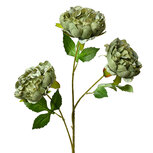 Clayre & Eef | Decoratie tak met bloemen Groen 12x8x80 cm | 5PL0166GR