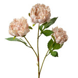 Clayre & Eef | Decoratie tak met bloemen Roze Groen 12x8x80 cm | 5PL0166P