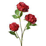 Clayre & Eef | Decoratie tak met bloemen Rood Groen 12x8x80 cm | 5PL0166R Clayre & Eef | Decoratie tak met bloemen Rood Groen 12x8x80 cm | 5PL0166R