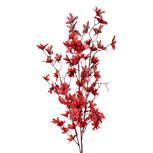 Clayre & Eef | Decoratie tak met bloemen Rood Groen 6x6x110 cm | 5PL0167R Clayre & Eef | Decoratie tak met bloemen Rood Groen 6x6x110 cm | 5PL0167R