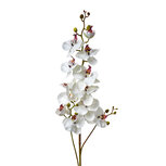 Clayre & Eef | Decoratie tak met bloemen Wit Groen 15x8x116 cm | 5PL0170W Clayre & Eef | Decoratie tak met bloemen Wit Groen 15x8x116 cm | 5PL0170W