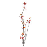 Clayre & Eef | Decoratie Tak Rood Bruin 18x5x116 cm | 5PL0181R Clayre & Eef | Decoratie Tak Rood Bruin 18x5x116 cm | 5PL0181R