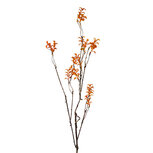 Clayre & Eef | Decoratie Tak Oranje Bruin 18x5x110 cm | 5PL0184 Clayre & Eef | Decoratie Tak Oranje Bruin 18x5x110 cm | 5PL0184