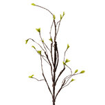 Clayre & Eef | Decoratie Tak Bruin Groen 28x8x130 cm | 5PL0185 Clayre & Eef | Decoratie Tak Bruin Groen 28x8x130 cm | 5PL0185