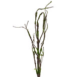 Clayre & Eef | Decoratie Tak Bruin Groen 28x5x130 cm | 5PL0186 Clayre & Eef | Decoratie Tak Bruin Groen 28x5x130 cm | 5PL0186