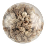 Clayre & Eef | Deurknop Beige ø 5x4 cm / S3 cm | 66062