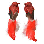 Clayre & Eef | Decoratie Vogel (Set van 2) Rood Bruin 16x5x5 cm | 66138 Clayre & Eef | Decoratie Vogel (Set van 2) Rood Bruin 16x5x5 cm | 66138