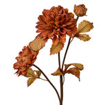 Clayre & Eef | Kunstbloem Bruin 10x10x66 cm | 6PL0387CH Clayre & Eef | Kunstbloem Bruin 10x10x66 cm | 6PL0387CH
