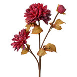 Clayre & Eef | Kunstbloem Rood Bruin 10x10x66 cm | 6PL0387R Clayre & Eef | Kunstbloem Rood Bruin 10x10x66 cm | 6PL0387R