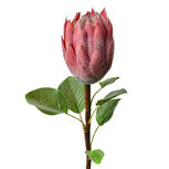 Clayre & Eef | Kunstbloem Roze Groen 10x10x65 cm | 6PL0389P Clayre & Eef | Kunstbloem Roze Groen 10x10x65 cm | 6PL0389P