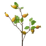 Clayre & Eef | Decoratie tak Geel Groen 10x8x50 cm | 6PL0390Y Clayre & Eef | Decoratie tak Geel Groen 10x8x50 cm | 6PL0390Y