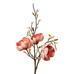 Clayre & Eef | Decoratie tak met bloemen Roze Bruin 20x20x106 cm | 5PL0169P Clayre & Eef | Decoratie tak met bloemen Roze Bruin 20x20x106 cm | 5PL0169P