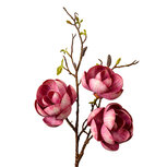 Clayre & Eef | Decoratie tak met bloemen Roze Bruin 20x20x106 cm | 5PL0169PA Clayre & Eef | Decoratie tak met bloemen Roze Bruin 20x20x106 cm | 5PL0169PA