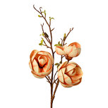 Clayre & Eef | Decoratie tak met bloemen Geel Bruin 20x20x106 cm | 5PL0169Y Clayre & Eef | Decoratie tak met bloemen Geel Bruin 20x20x106 cm | 5PL0169Y