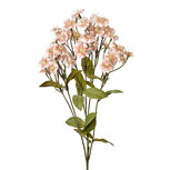 Clayre & Eef | Decoratie tak met bloemen Beige Groen 8x8x63 cm | 6PL0384BE Clayre & Eef | Decoratie tak met bloemen Beige Groen 8x8x63 cm | 6PL0384BE