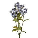 Clayre & Eef | Decoratie tak met bloemen Blauw Groen 8x8x63 cm | 6PL0384BL Clayre & Eef | Decoratie tak met bloemen Blauw Groen 8x8x63 cm | 6PL0384BL
