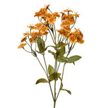 Clayre & Eef | Decoratie tak met bloemen Geel Groen 8x8x63 cm | 6PL0384Y Clayre & Eef | Decoratie tak met bloemen Geel Groen 8x8x63 cm | 6PL0384Y