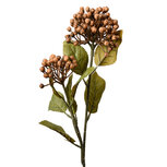Clayre & Eef | Kunstbloem Bruin Groen 8x7x53 cm | 6PL0386BE Clayre & Eef | Kunstbloem Bruin Groen 8x7x53 cm | 6PL0386BE