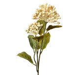 Clayre & Eef | Kunstbloem Beige Groen 8x7x53 cm | 6PL0386W