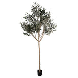 Clayre & Eef | Decoratie Olijfboom Groen Beige 120x80x240 cm | 5PL0139 Clayre & Eef | Decoratie Olijfboom Groen Beige 120x80x240 cm | 5PL0139