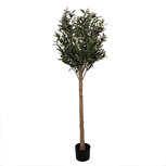 Clayre & Eef | Decoratie boom Groen 50x50x165 cm | 5PL0148 Clayre & Eef | Decoratie boom Groen 50x50x165 cm | 5PL0148