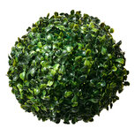 Clayre & Eef | Decoratie kunststof bol Buxus Groen ø 20 cm | 6PL0325M Clayre & Eef | Decoratie kunststof bol Buxus Groen ø 20 cm | 6PL0325M