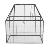 Clayre & Eef | Decoratie Kweekkasje Transparant Zwart 25x16x26 cm | 6GL5368 Clayre & Eef | Decoratie Kweekkasje Transparant Zwart 25x16x26 cm | 6GL5368