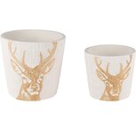 Dekoratief | Set 2 bloempotten 'Majestic Deer', cement, 14x14x13cm | A255001 Dekoratief | Set 2 bloempotten 'Majestic Deer', cement, 14x14x13cm | A255001